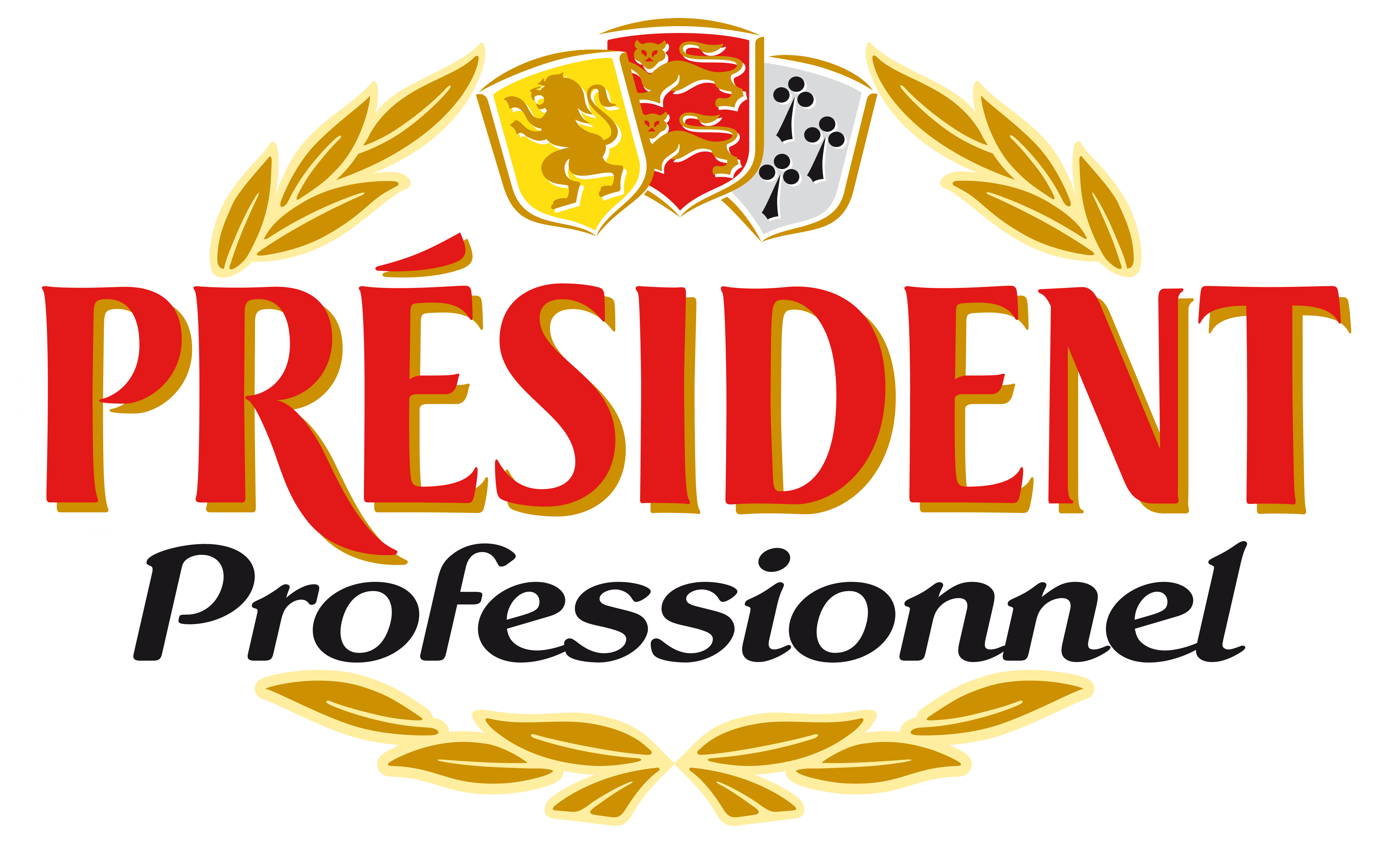 President Professionnel