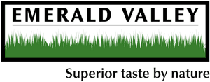 117x300 emerald